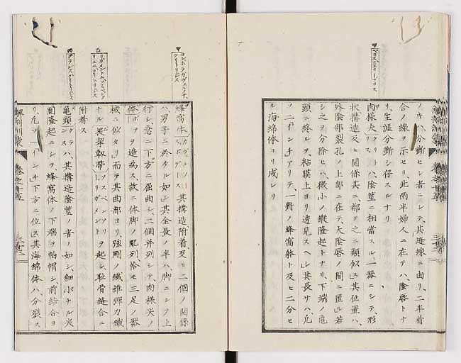 K0021s0503