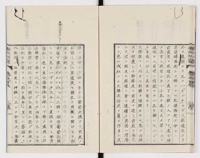K0021s0505