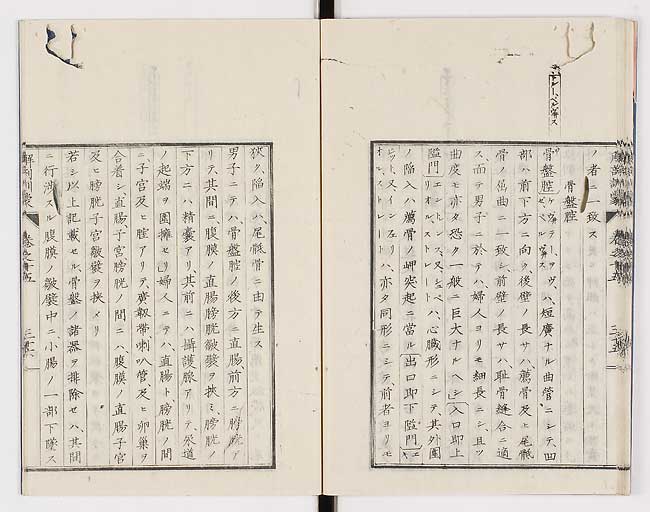 K0021s0506