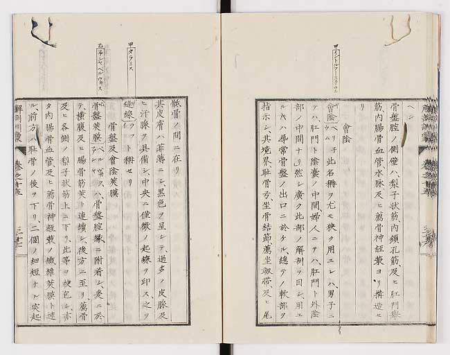 K0021s0507