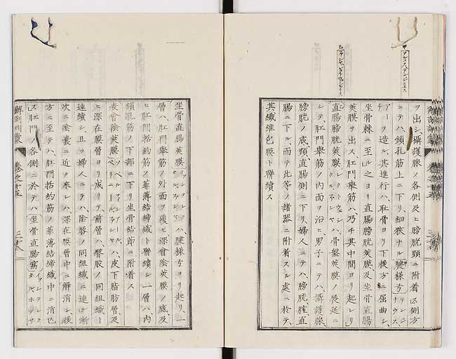 K0021s0508