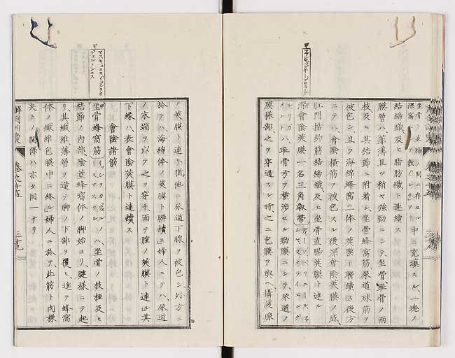 K0021s0509