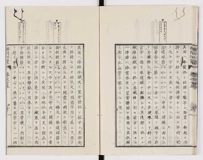 K0021s0510