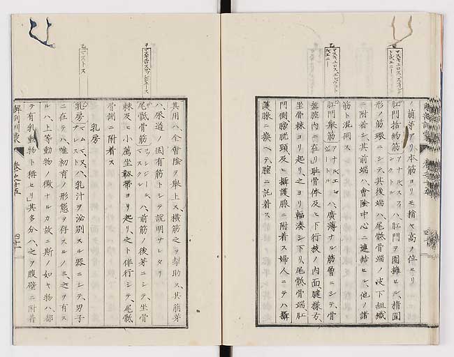 K0021s0511