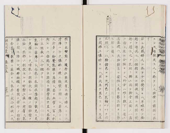 K0021s0512