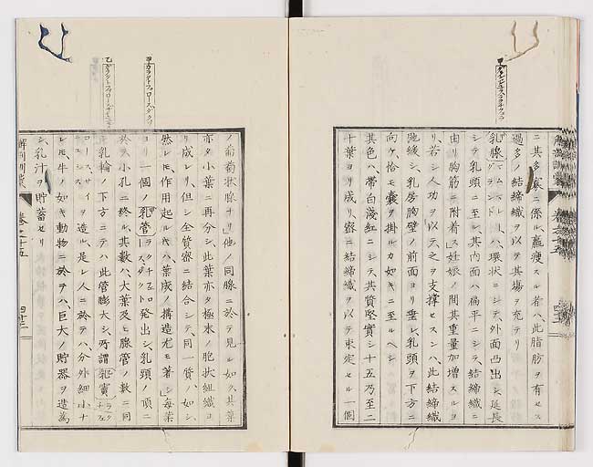 K0021s0513