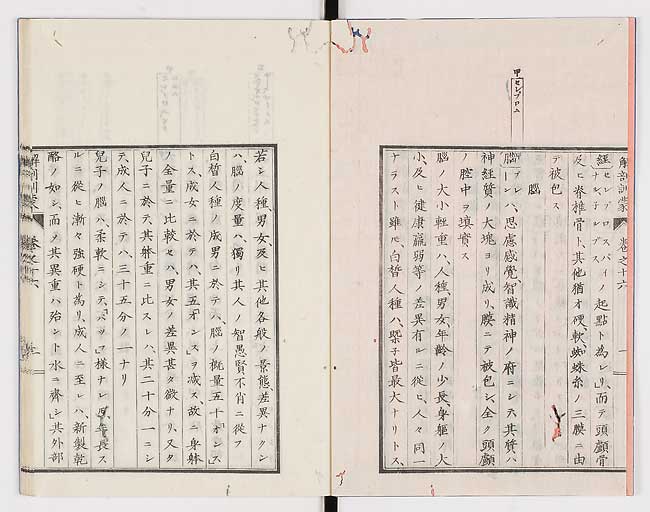 K0021s0519