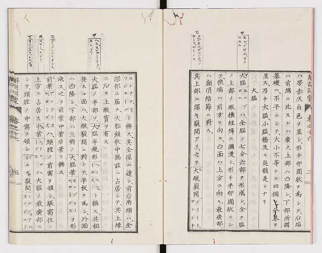 K0021s0520