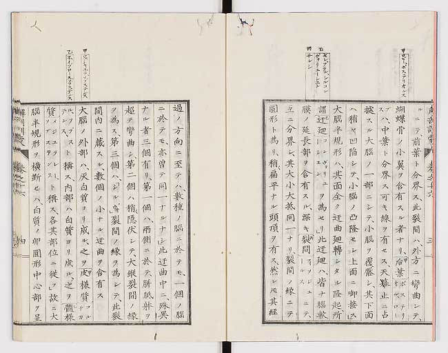 K0021s0521