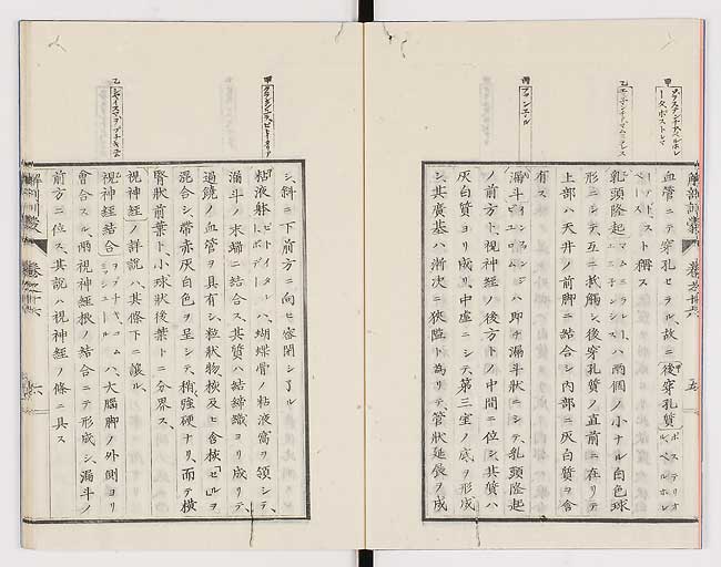 K0021s0523