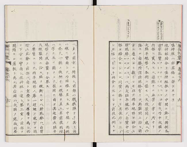 K0021s0524