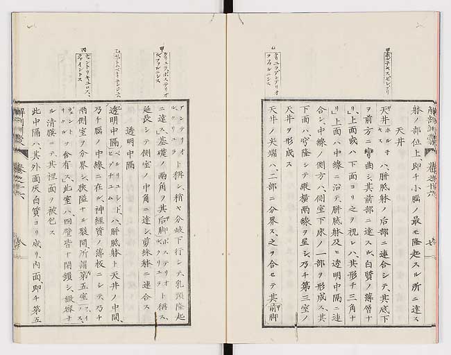 K0021s0525