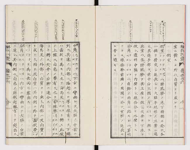 K0021s0526