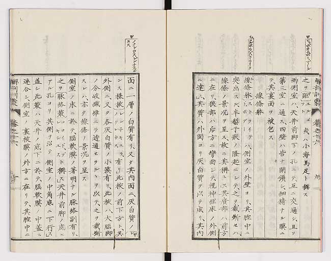 K0021s0527