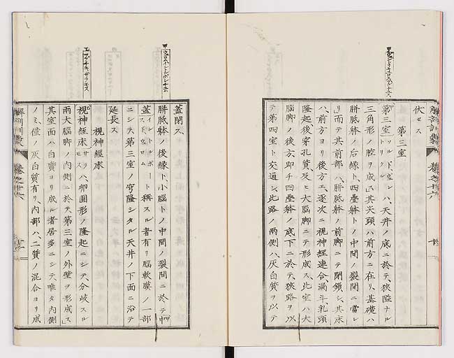 K0021s0528