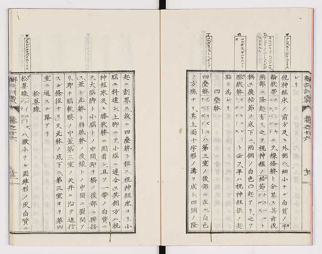 K0021s0529