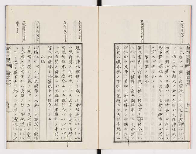 K0021s0530