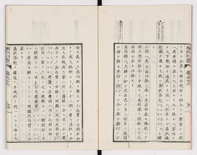 K0021s0531