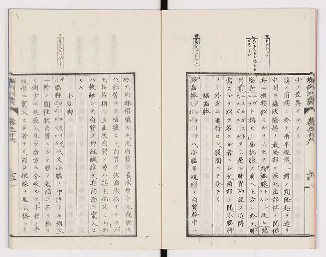 K0021s0532
