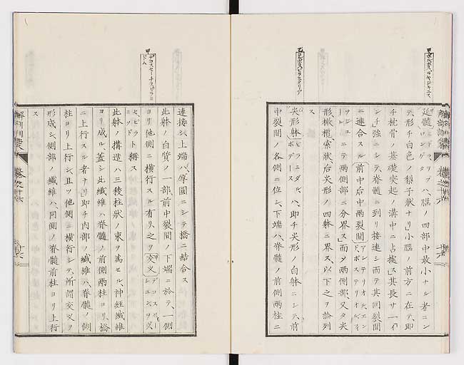 K0021s0534