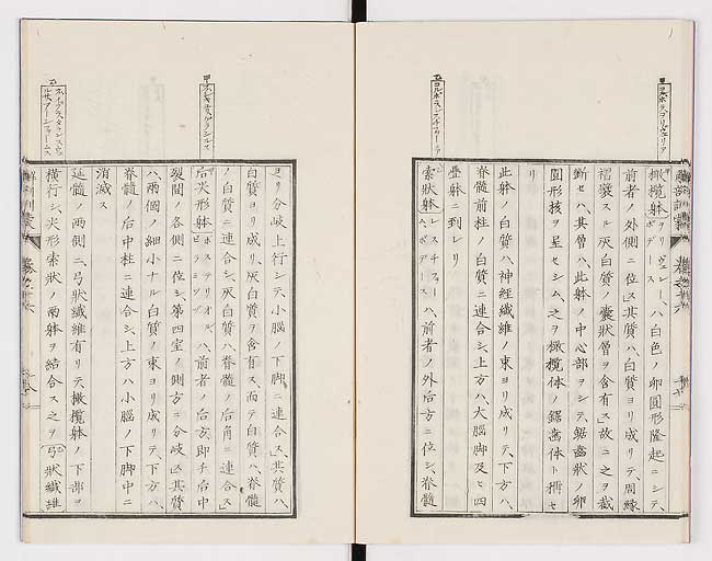 K0021s0535