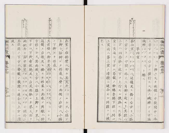 K0021s0536