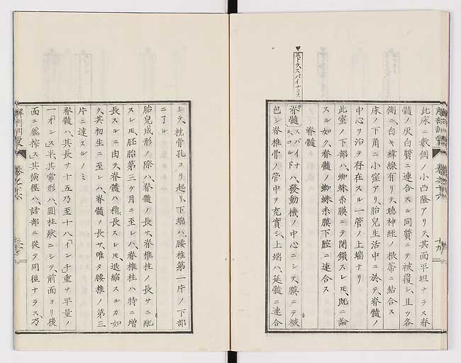 K0021s0537