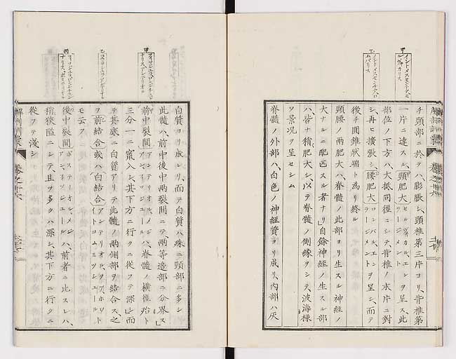 K0021s0538