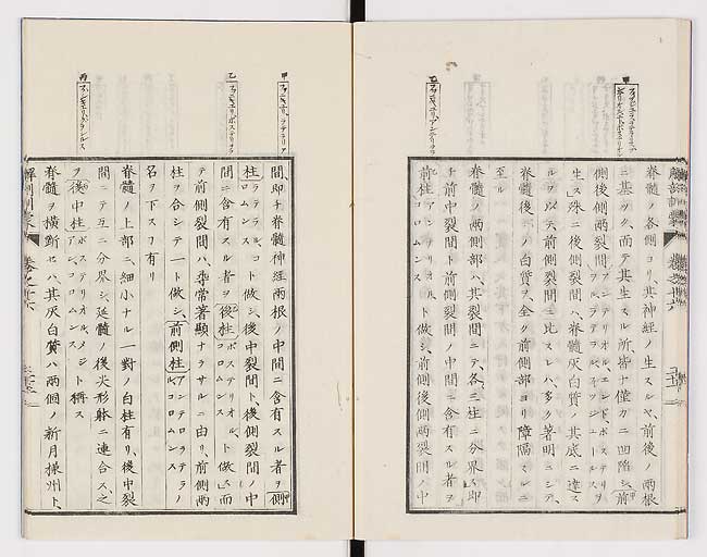 K0021s0539