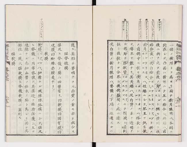 K0021s0540