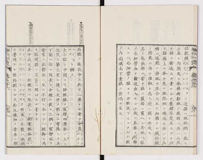 K0021s0541