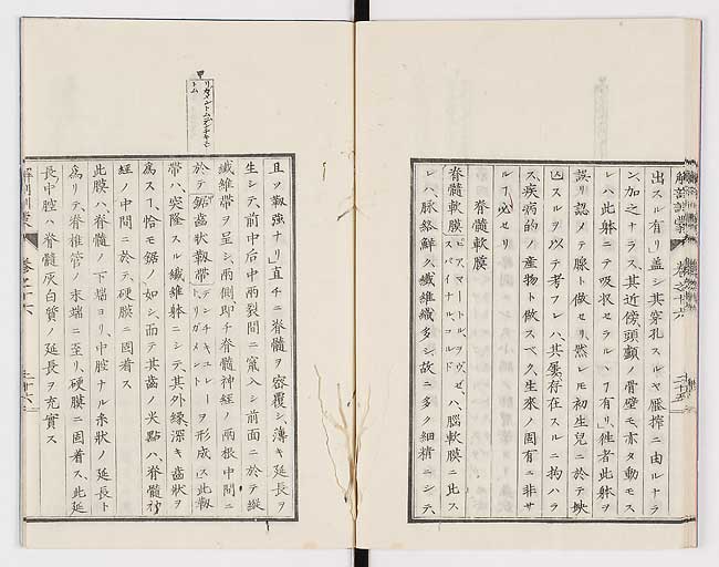 K0021s0543