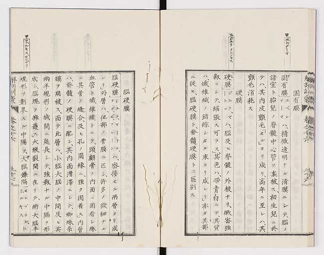 K0021s0544