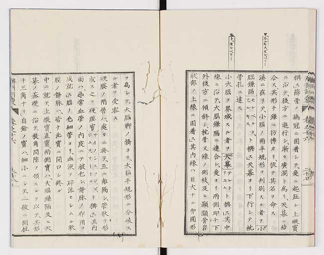 K0021s0545