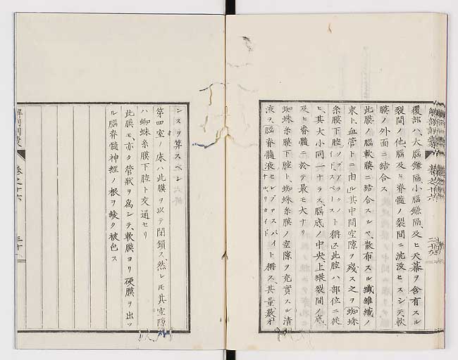 K0021s0547