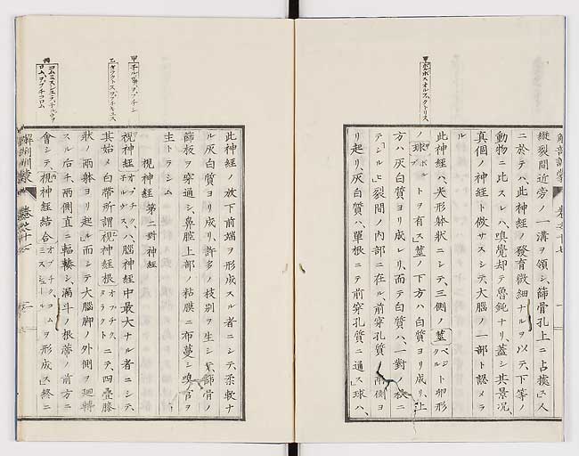 K0021s0552
