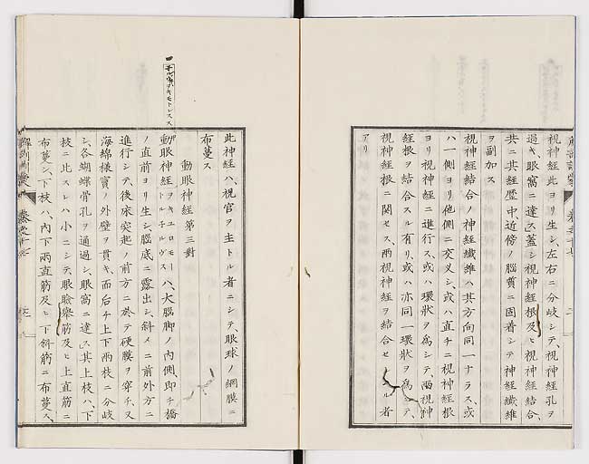 K0021s0553