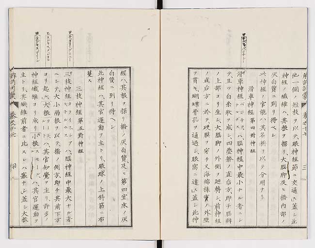 K0021s0554