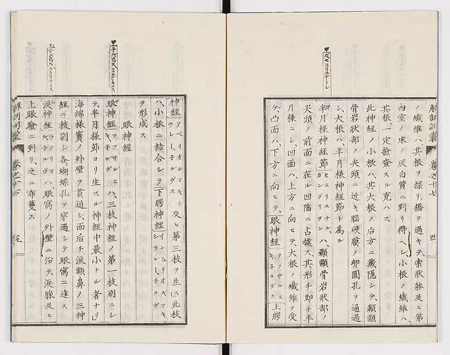 K0021s0555