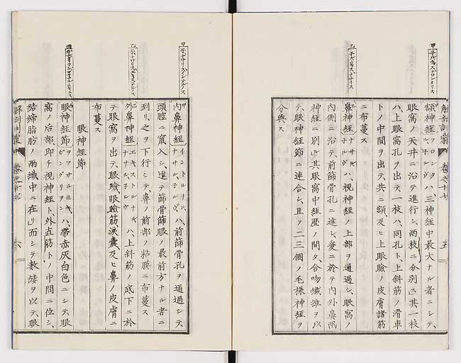 K0021s0556