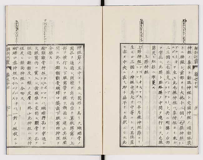 K0021s0557