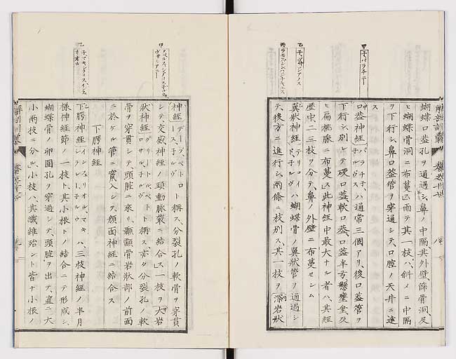 K0021s0559