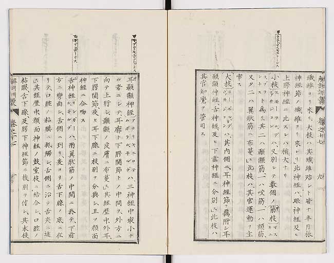 K0021s0560