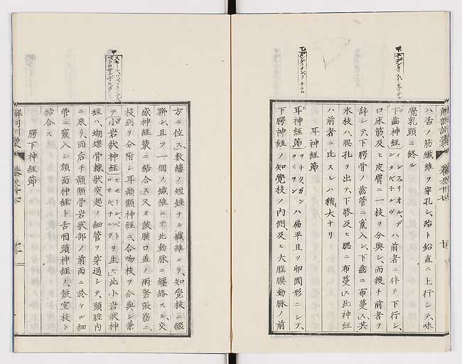 K0021s0561
