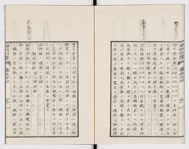 K0021s0562