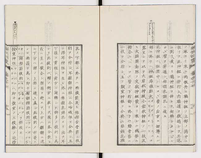 K0021s0563