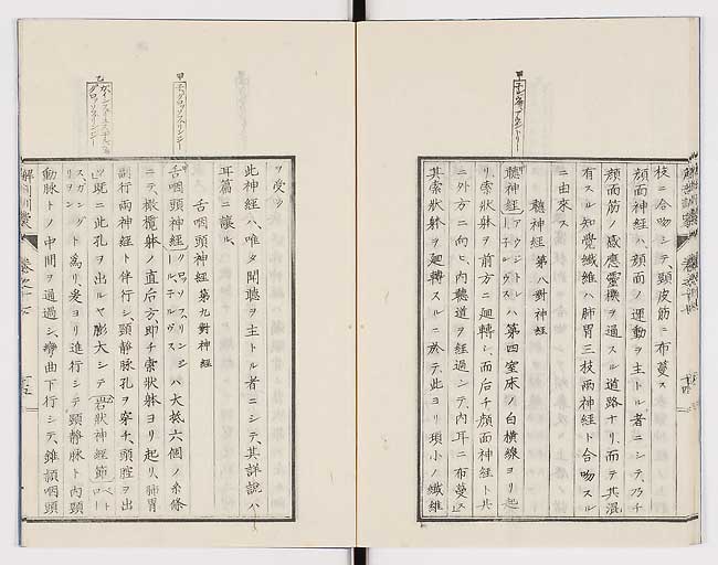 K0021s0565