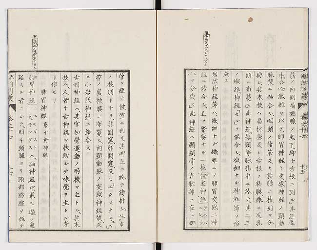 K0021s0566