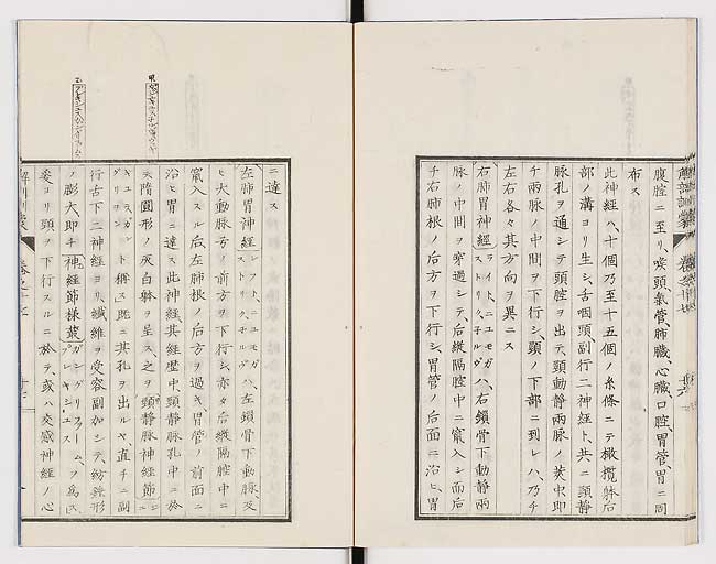 K0021s0567