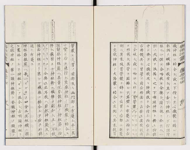 K0021s0568